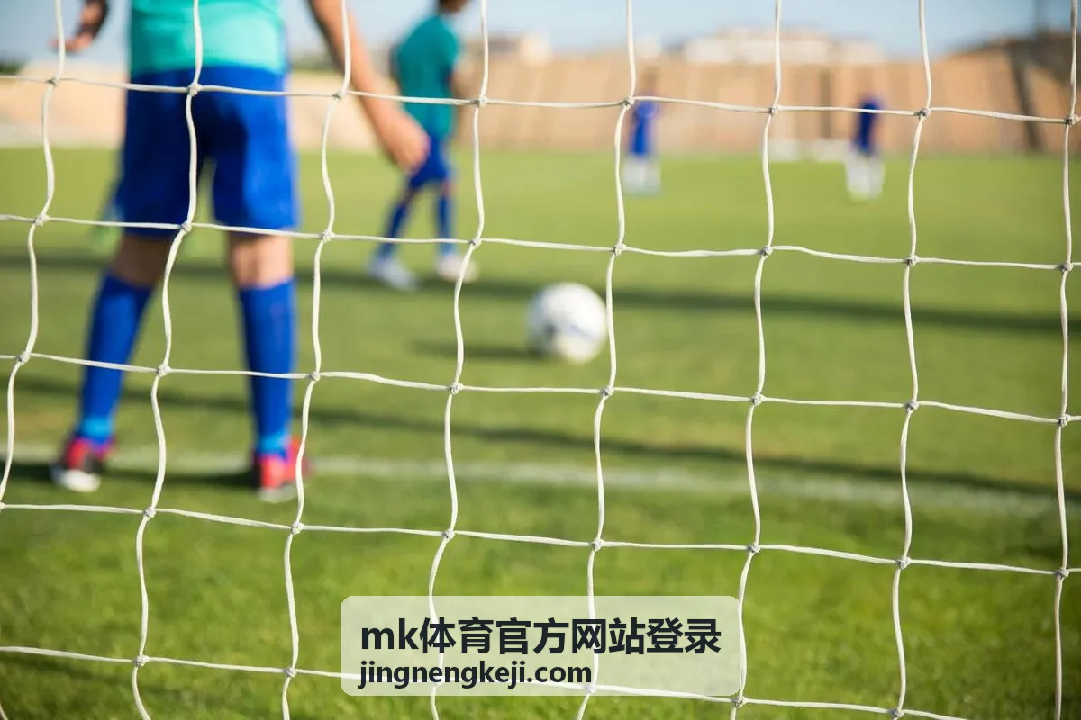 mk体育官方网站登录账号登录与身份验证模块入口示意图